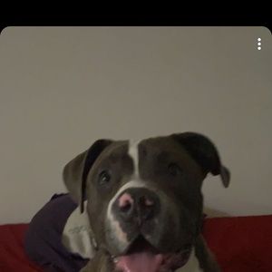 Meet your Posher, Jesus